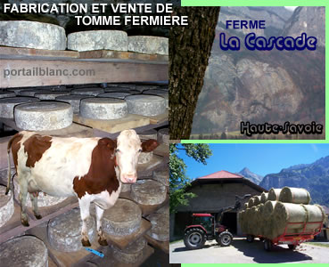 TOMME FERMIERE, ferme la cascade